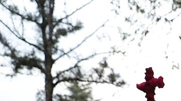 Familias en México adornan tumbas de sus seres queridos en el Día de Muertos.