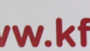 Andrea Legarreta | Mezcalent.