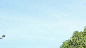 Migrantes viajan en vehículos en Chiapas, México, en su intento por llegar a los EE.UU..