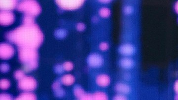 Adamari López, Toni Costa y Alaïa