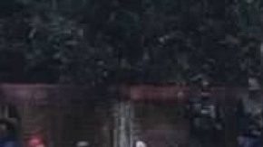 Acusan extorsiones contra aguacateros.