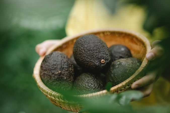 Aguacates