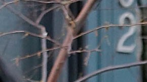 Alumna de 16 años de Boston noquea a la directora de escuela y la deja inconsciente