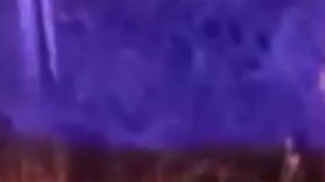 Aparecen vivos marinos secuestrados por CJNG_1482532