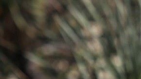 Exgobernador mexicano de Michoacán, Silvano Aureoles Conejo, vivía en búnker con pasadizo secreto