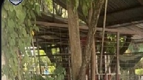 Balacera la Familia Michoacana Morelos.