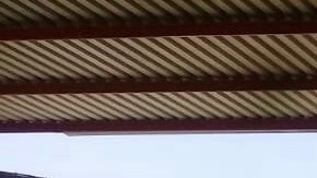 Baltazar Alvarez, padre de Samuel con parte del ganado