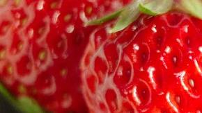 bayas-fresas