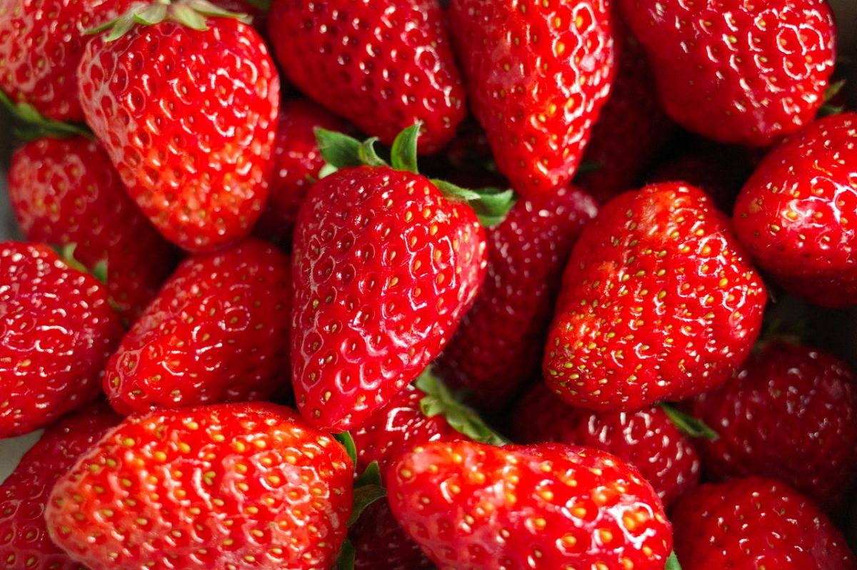 Las fresas son ricas en antioxidantes que protegen a las células del daño de los radicales libres que promueven el envejecimiento.