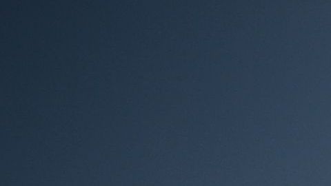 Bebé de 8 meses murió al caer de un auto en movimiento y después ser arrollada por un conductor que no se detuvo