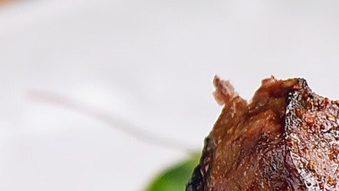 Filete de carne
