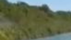 Rescatan niña inmigrante