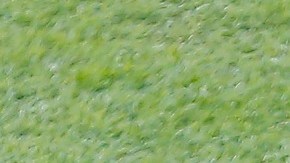 Brazil v Peru: Final - Copa America Brazil 2019