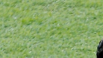 Brazil v Peru: Final - Copa America Brazil 2019