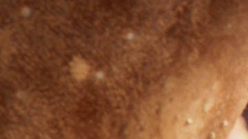 cortometraje Chick-fil-A