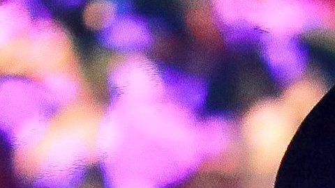 Christian Nodal es sorprendido por un verdadero fanático.
