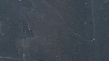 Elízabeth Orihuela