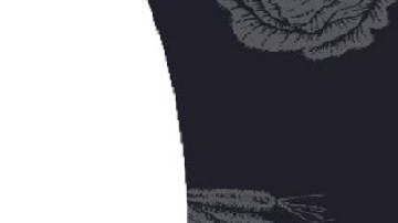 Ensaladas Dole en retiro