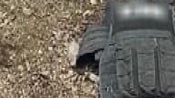 Fotos: Narcocampamento del CJNG es destruido; sicarios abandonaron municiones y armas para escapar