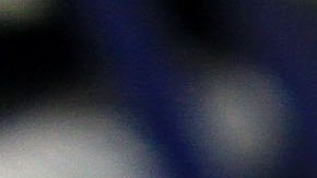 Científicos alertan de invasiones "alienígenas" en la tierra y la necesidad de bioseguridad planetaria