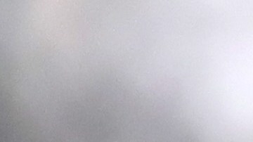 Ralf Rangnick se desempeñó como director técnico y deportivo del RB Leipzig.