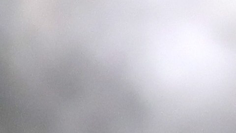 Ralf Rangnick se desempeñó como director técnico y deportivo del RB Leipzig.