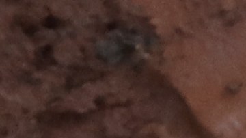 Deslave en pueblo de Colombia sepulta hotel y casas; hay al menos 12 muertos