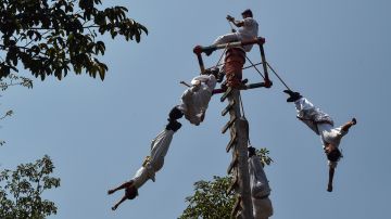 VIDEO: Cae volador de Papantla de 25 metros de altura al ejecutar ritual prehispánico en México