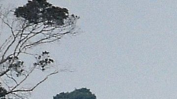 La Amazonía brasileña registra la mayor deforestación de los últimos 15 años