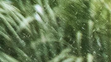 Según la policía de Florida, no hubo heridos por las lluvias del fin de semana.