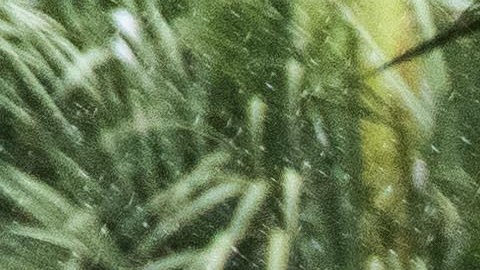 Según la policía de Florida, no hubo heridos por las lluvias del fin de semana.