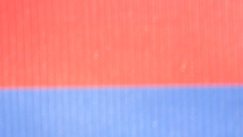 Ambos hermanos han superado el millón de ventas en PPV.