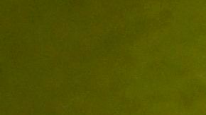 Los billetes salieron de bolsas de dinero que cayeron del vehículo blindado.