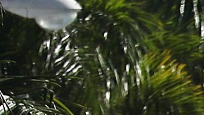 Solo el 32% de quienes quieren viajar, planean conducir por los altos precios de combustible-GettyImages-1185741393.jpg