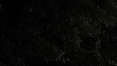 El Desfile de Navidad de Hollywood es una de las tradiciones de Los Ángeles.