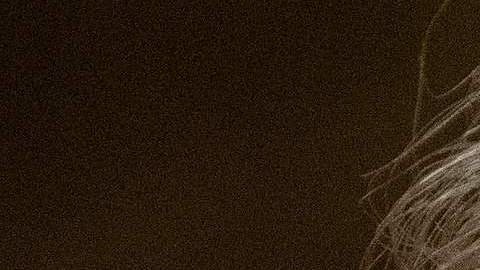 El expresidente estadounidense Donald Trump.-