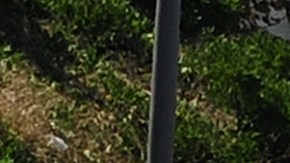 Thanksgiving 2021: La ciudad de Los Ángeles tendrá este miércoles el día de peor tráfico del año