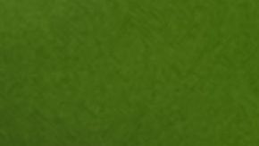 La última vez que se observó a la reinita de Bachman fue en 1988.