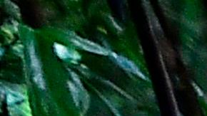 Hombres acusados de asesinar a niños y embarazada en “exorcismo” reciben de 47 años de cárcel