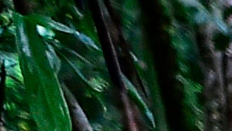 Hombres acusados de asesinar a niños y embarazada en “exorcismo” reciben de 47 años de cárcel