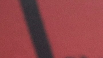 El mercado de Wuhan se ha identificado como el lugar de origen de la pandemia de coronavirus.