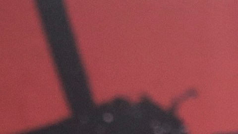 El mercado de Wuhan se ha identificado como el lugar de origen de la pandemia de coronavirus.
