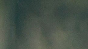 VIDEO: Policía en México agrede y amenaza a conductor; le advierte que lo arrestará “por pinche niña”