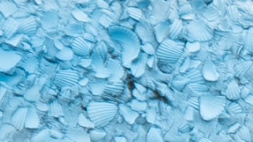 Un mural eh honor de Ahmaud Arbery en Brunswick, Georgia.