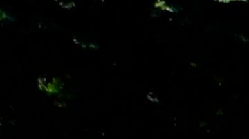 Masacre de San Fernando