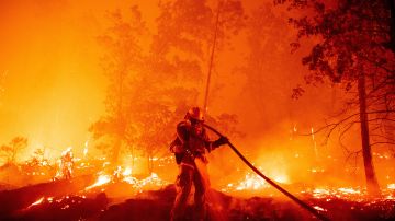 Cada año, los incendios en la costa Oeste son más agresivos debido al cambio climático.