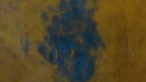 #VIDEO Tras accidente, perro aprende a caminar en dos patas como ser humano