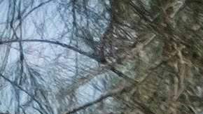 Son las propias familias de las víctimas las que se han encargado de la dolorosa tarea de buscar a sus desaparecidos en México.