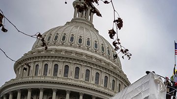 Comité que investiga el asalto al Capitolio cita a Roger Stone y Alex Jones