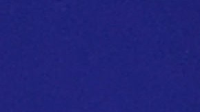 "Espero ganar", dice Bolsonaro en su carrera por ser personaje del año en revista Time